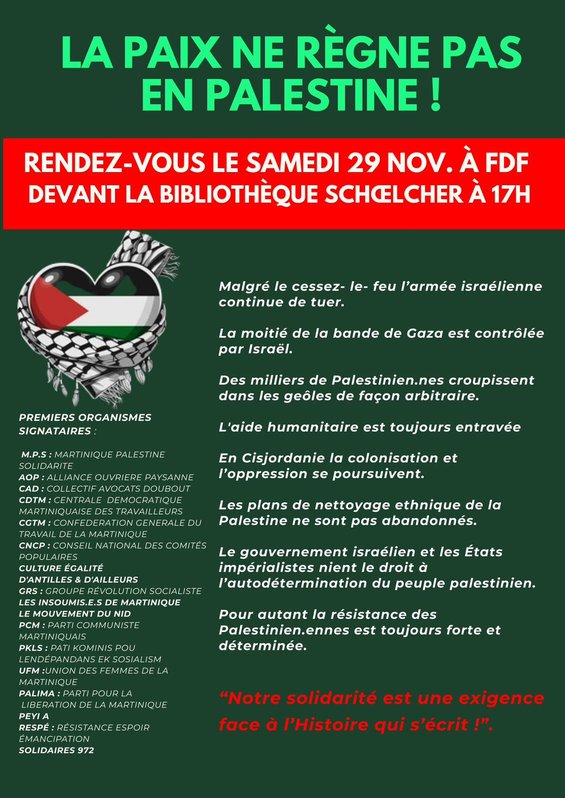 29.11 Flyer Palestine